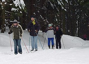 Skiloipe durch den Wald Skiloipe durch den Wald